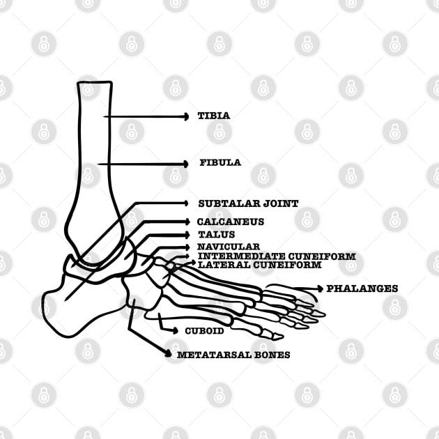 Foot anatomy skeletal system by Mermaidssparkle