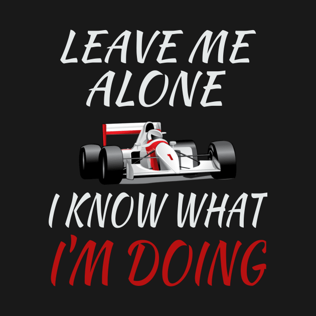 racing car gift idea leave me alone i know what im doing by soufyane