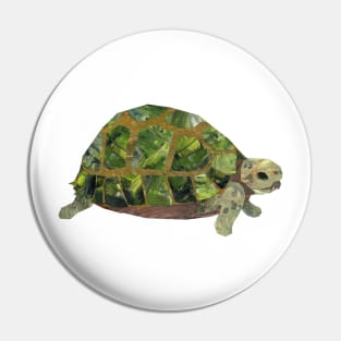 Tortoise Pin