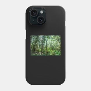 Hoh Rainforest #3 Phone Case