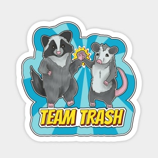 Team Trash - Opossum and Raccoon Duo Magnet