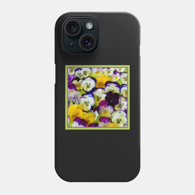 Passion for Pansies Phone Case by AmandaSlaterArt