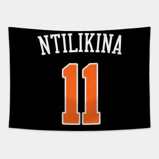 Frank Ntilikina Tapestry