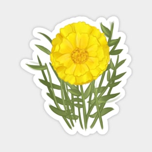 Marigold Magnet