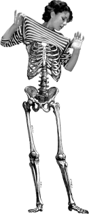 Skeleton Woman Magnet