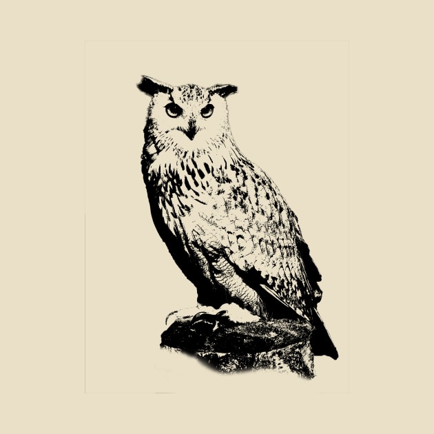 Owl by hudayadi