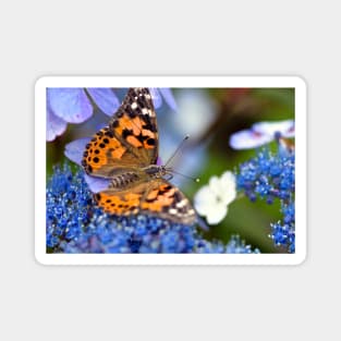 Painted Lady Butterfly Magnet