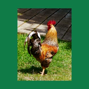 Chickens - Strutting Rooster T-Shirt