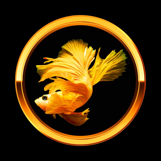 Endearing Gold Fish by Insignis