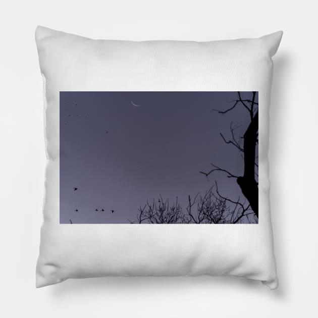 Rising Moon and Silhouettes by Debra Martz Pillow by Debra Martz