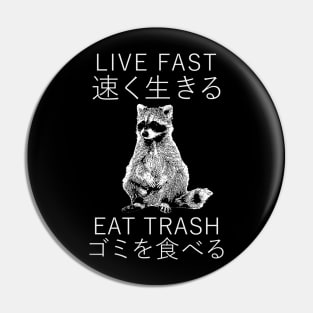 LIVE FAST RACCOON JAPANESE Pin