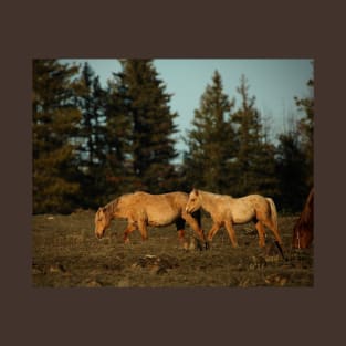 Sunset Wild Horses T-Shirt