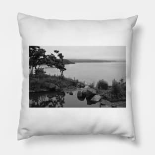 A Pond on Campus of Far East Federal University, Vladivostok, Russia Pillow