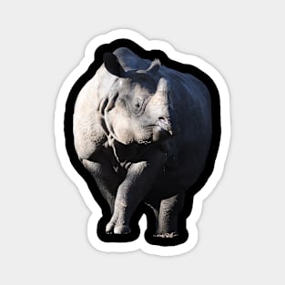 Rhino Magnet