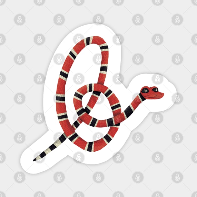 B - False coral snake Magnet by miim-ilustra