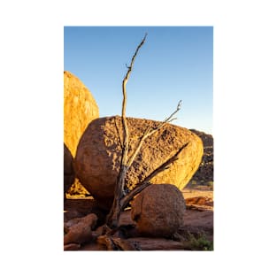 Tree and boulder. T-Shirt