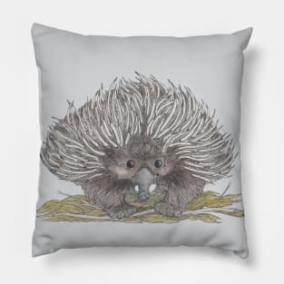 Echidna Pillow