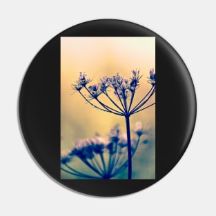 Wild Carrot Seeds Pin