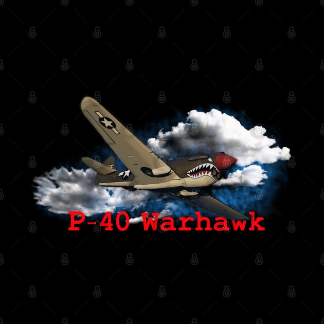 P-40 Warhawk - From Below by OutPsyder