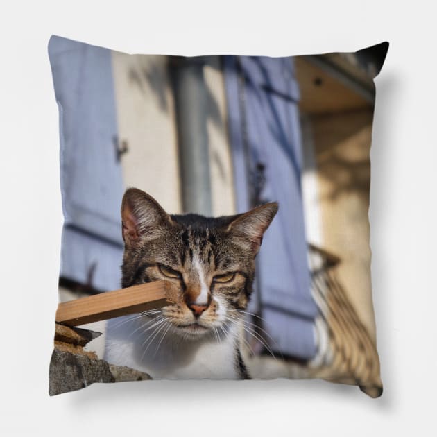 You Lookin' at Me? Pillow by JonDelorme