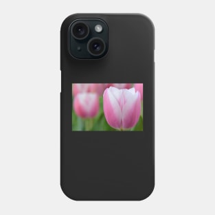 Tulipa &#39;Valentine&#39; Triumph Group Tulip Phone Case