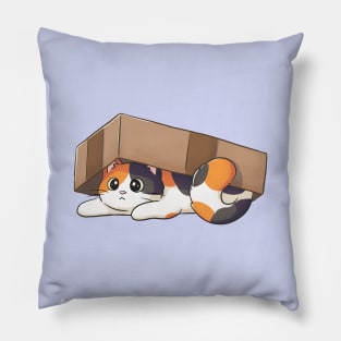 Cute Calico Cat Under Cardboard Box Pillow