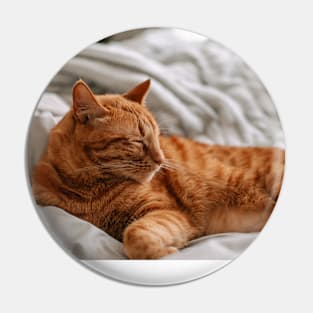 Nice cat Pin