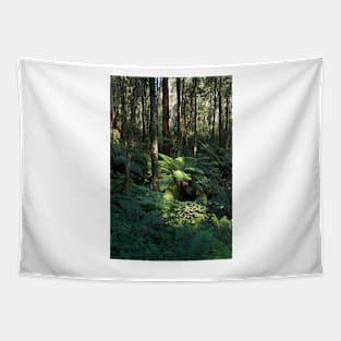 Tree Fern Tapestry