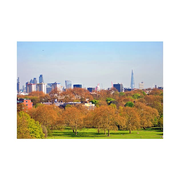 London Skyline Cityscape Primrose Hill by AndyEvansPhotos