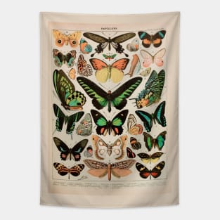 Papillon II Vintage French Butterfly Chart Tapestry