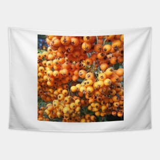 Orange Berries Seaberry Tapestry