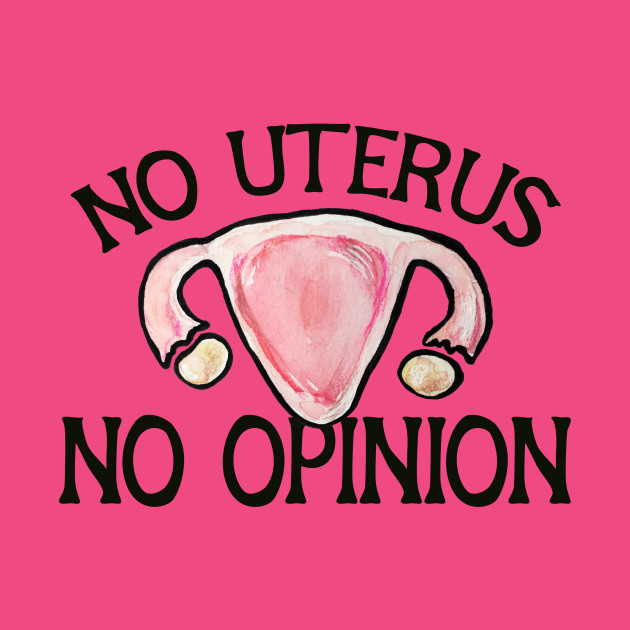 Image result for no uterus, no opinion