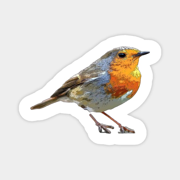 Robin Magnet by bywhacky