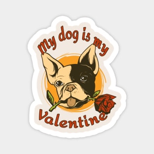 My Dog Is My Valentine Funny Valentines Day French Bulldog Magnet