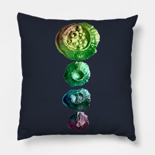 Rainbow Moon Pillow