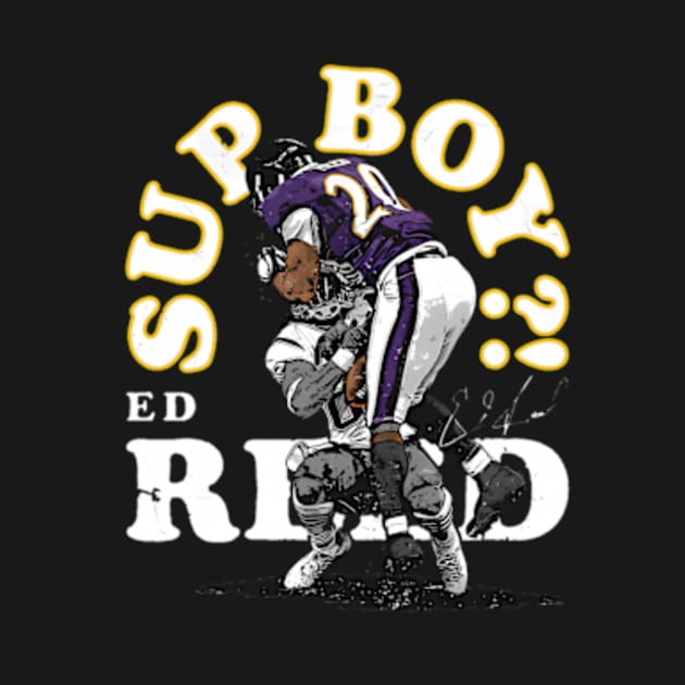 Ed Reed Baltimore Sup by Sink-Lux