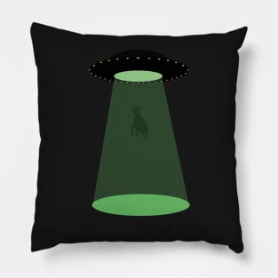 It cames from outerspace ! Pillow