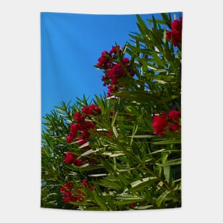 Red Mediterranean Flowers Tapestry