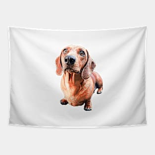 Dachshund Style Up Puppy Dog Tapestry