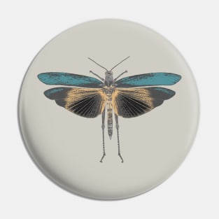 Moth in Pastel Colors Pin