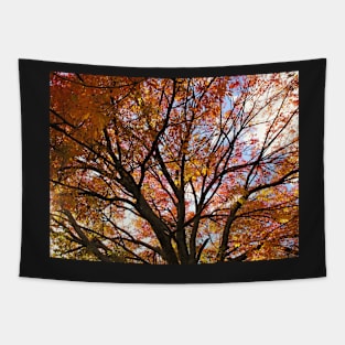 October Dreams Tapestry