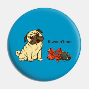 Dog and shoes Pin