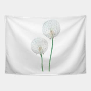 white dandelion painting Tapestry