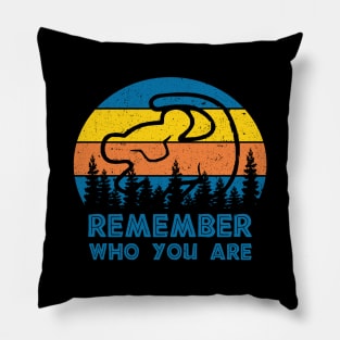 Retro Remember Who You Are Pillow