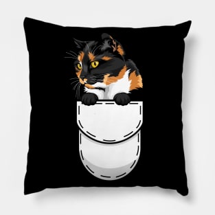 Funny Tortoiseshell Pocket Cat Pillow