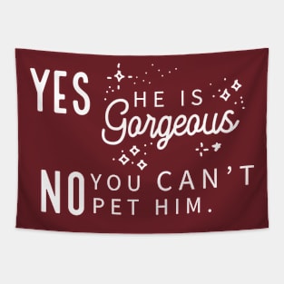 Yes He Is Gorgeous, No You Can't Pet Him - Dark Shirt Version Tapestry