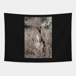 Grey Kangaroo Tapestry