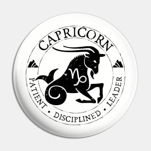 Capricorn Zodiac Birthday Star Sign Zodiac Gift Pin