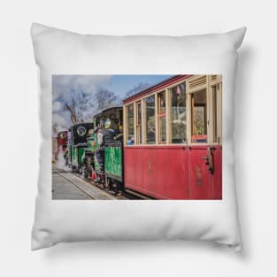 The Snowdonian 2015 by Lizzie Weir Pillow