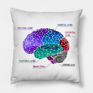 Brain Parts Pillow